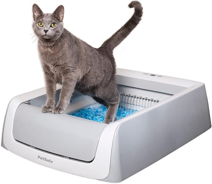 PetSafe Self-Cleaning Litter Box