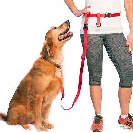 Hands-free dog leash